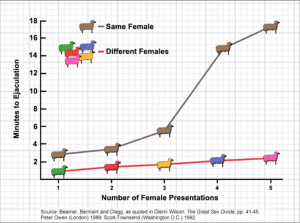 This graph displays how the Coolidge Effect works. As you can see, the longer the "sheep" has the same mate, the longer it takes him. But when novel mates are introduced, he can consistently get the job done in two minutes flat.